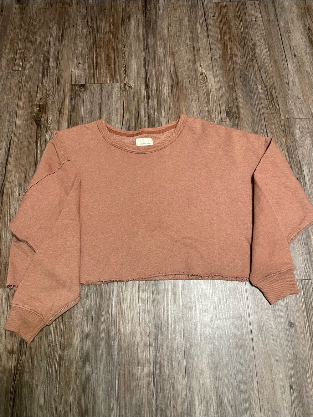 American Eagle Outfitters Cropped Sweatshirt